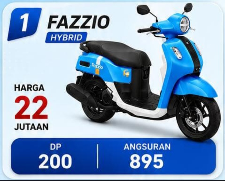HOOT PROMO FAZIO HYBRID